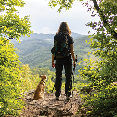 Person with a backpack and hiking poles stands on a rocky outcrop with a dog, overlooking a green mountain landscape.
