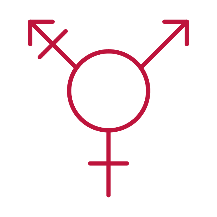 Symbol representing transgender and gender‑diverse individuals.