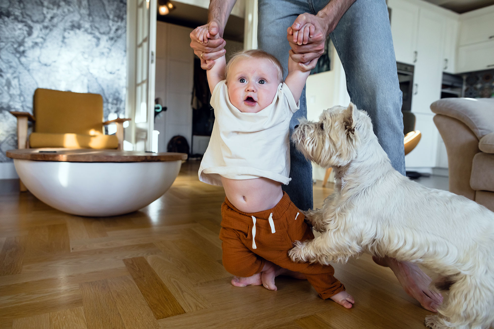 a parent helping a baby walk indoors with a dog in the foreground
