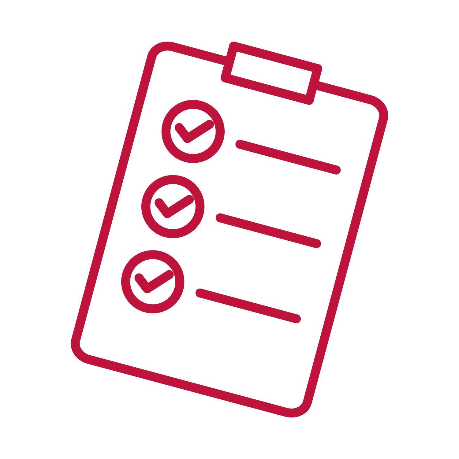 checklist icon