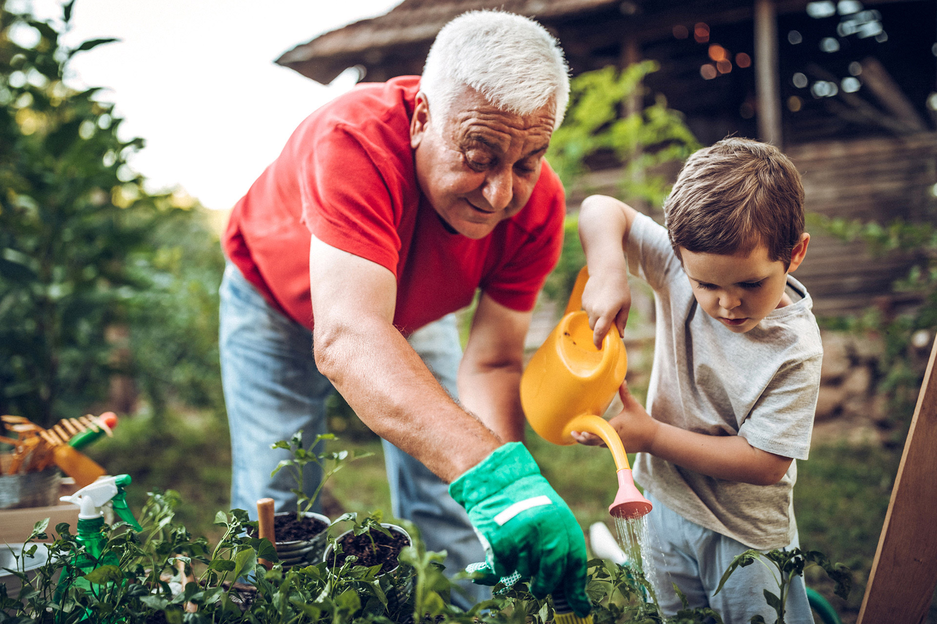 an older adult and a child watering plants in a garden