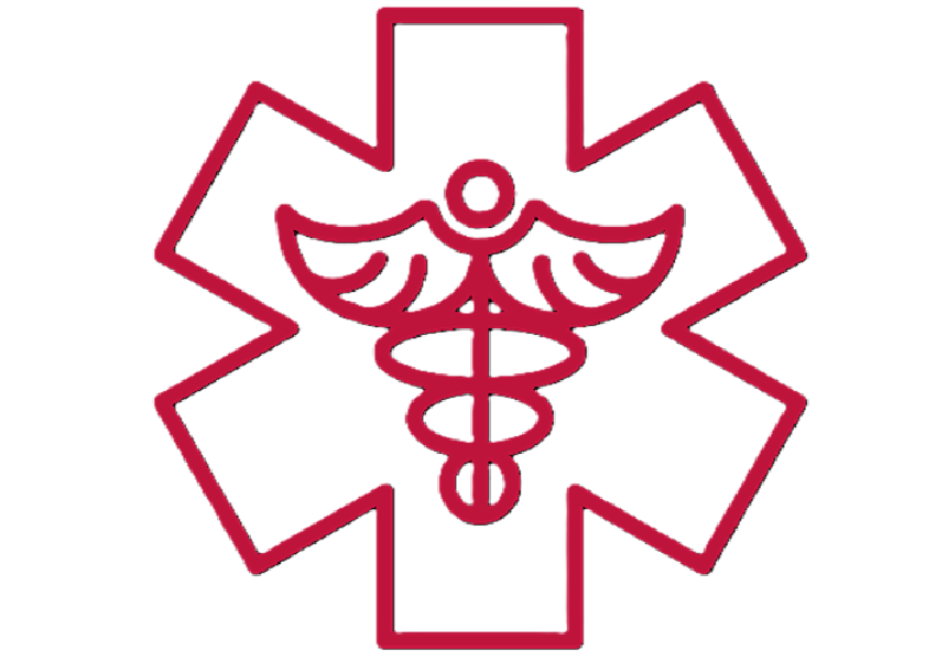 caduceus-icon-sized-2 caduceus icon