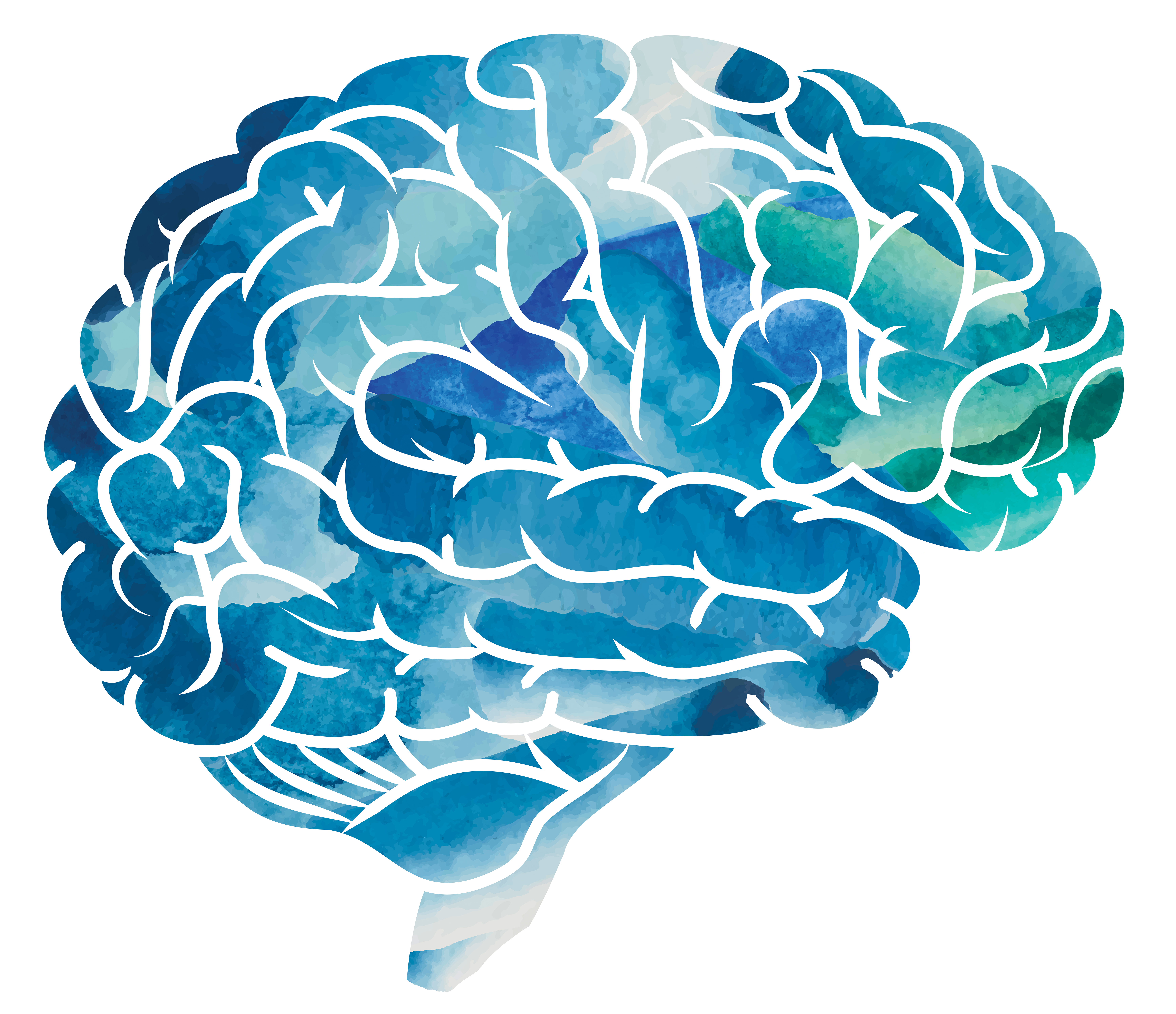 artistic rendering of a brain